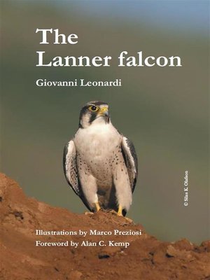 cover image of The Lanner falcon